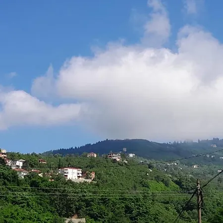 Newsuit2023 Trabzon