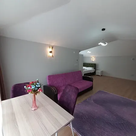 Hotel Newsuit2023 4*